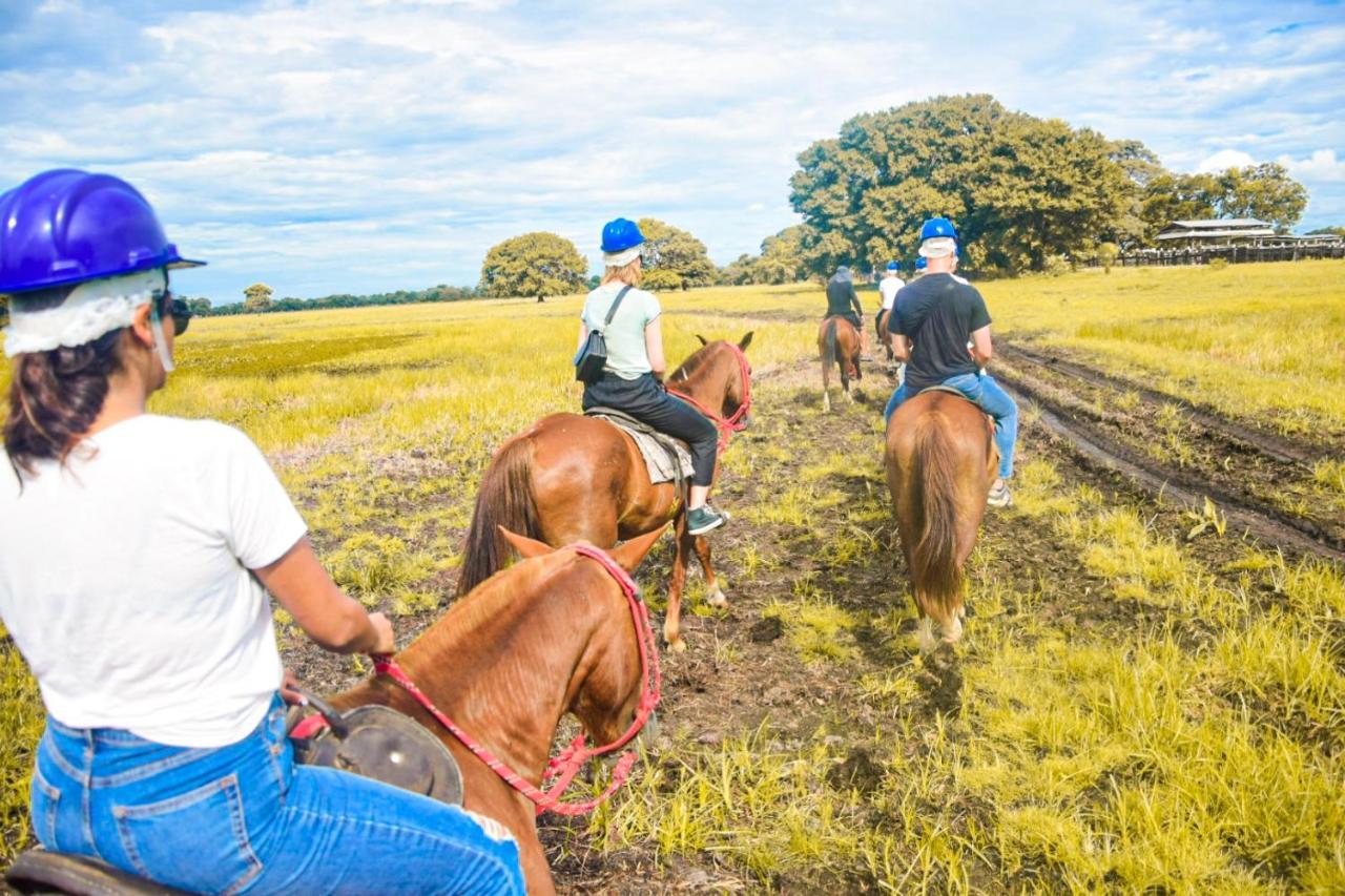 Pousada São João - Estrada Parque Pantanal Vila Passo do Lontra Exterior foto