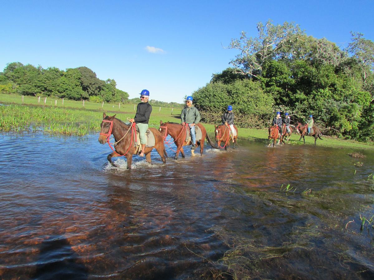 Pousada São João - Estrada Parque Pantanal Vila Passo do Lontra Exterior foto