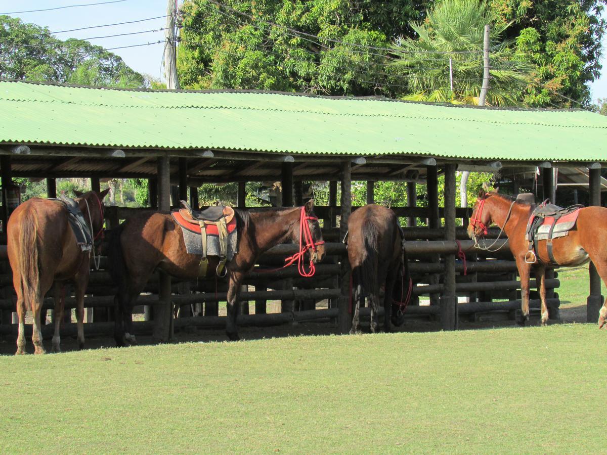 Pousada São João - Estrada Parque Pantanal Vila Passo do Lontra Exterior foto